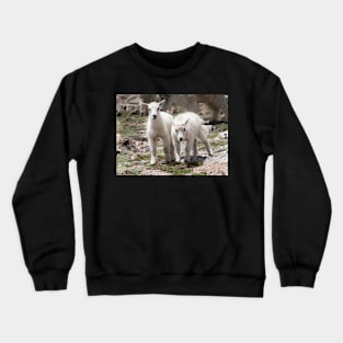 Twins Crewneck Sweatshirt